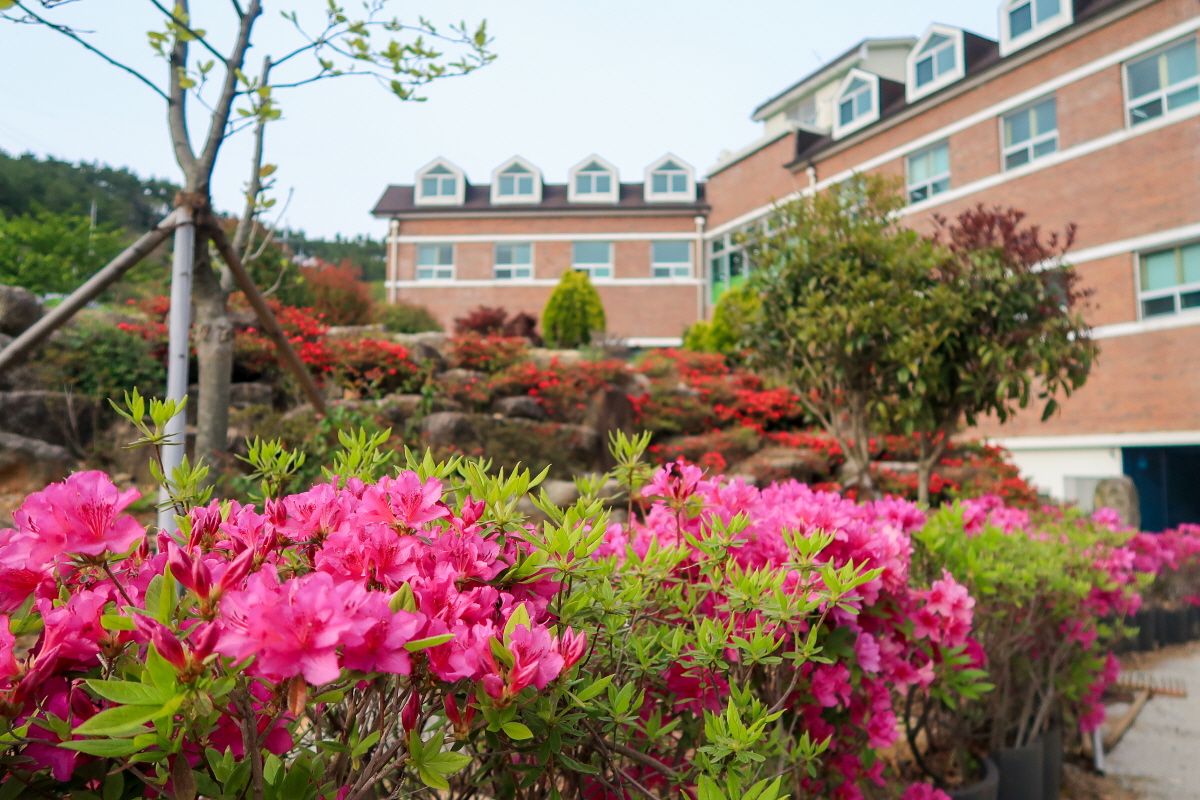 노인요양원 정원 이미지 2