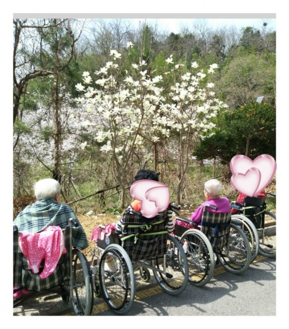 전남성노원 이미지 2