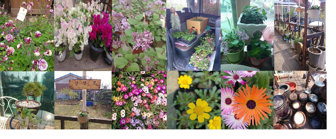 월롱패밀리 요양원 이미지 13