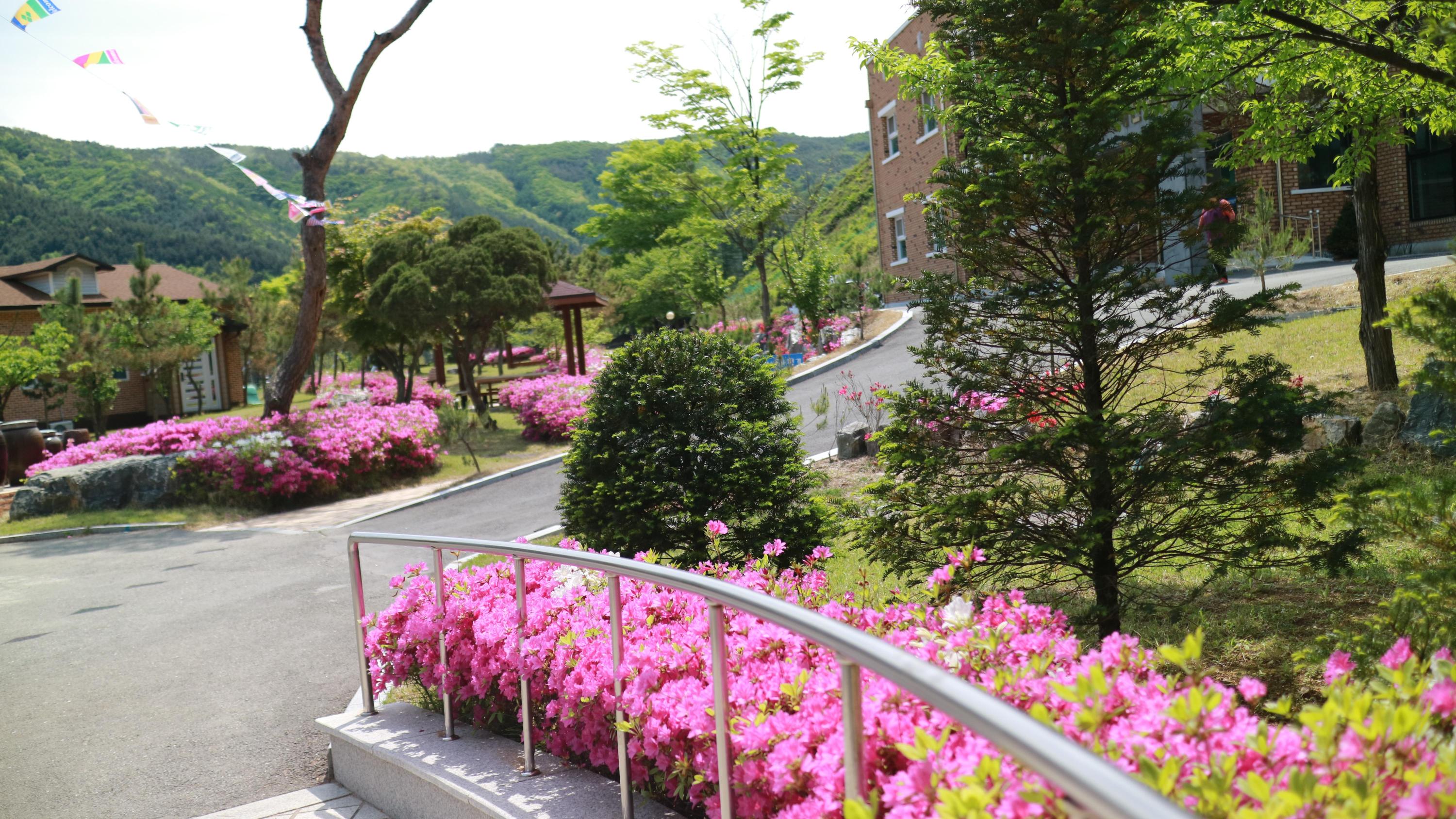 너브내노인전문요양원 이미지 20