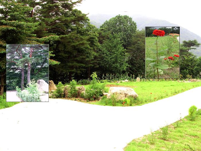 임마누엘요양원 이미지 3