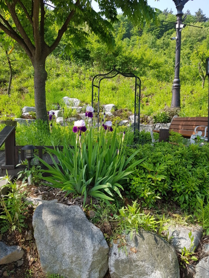 운정골드에이지 이미지 4