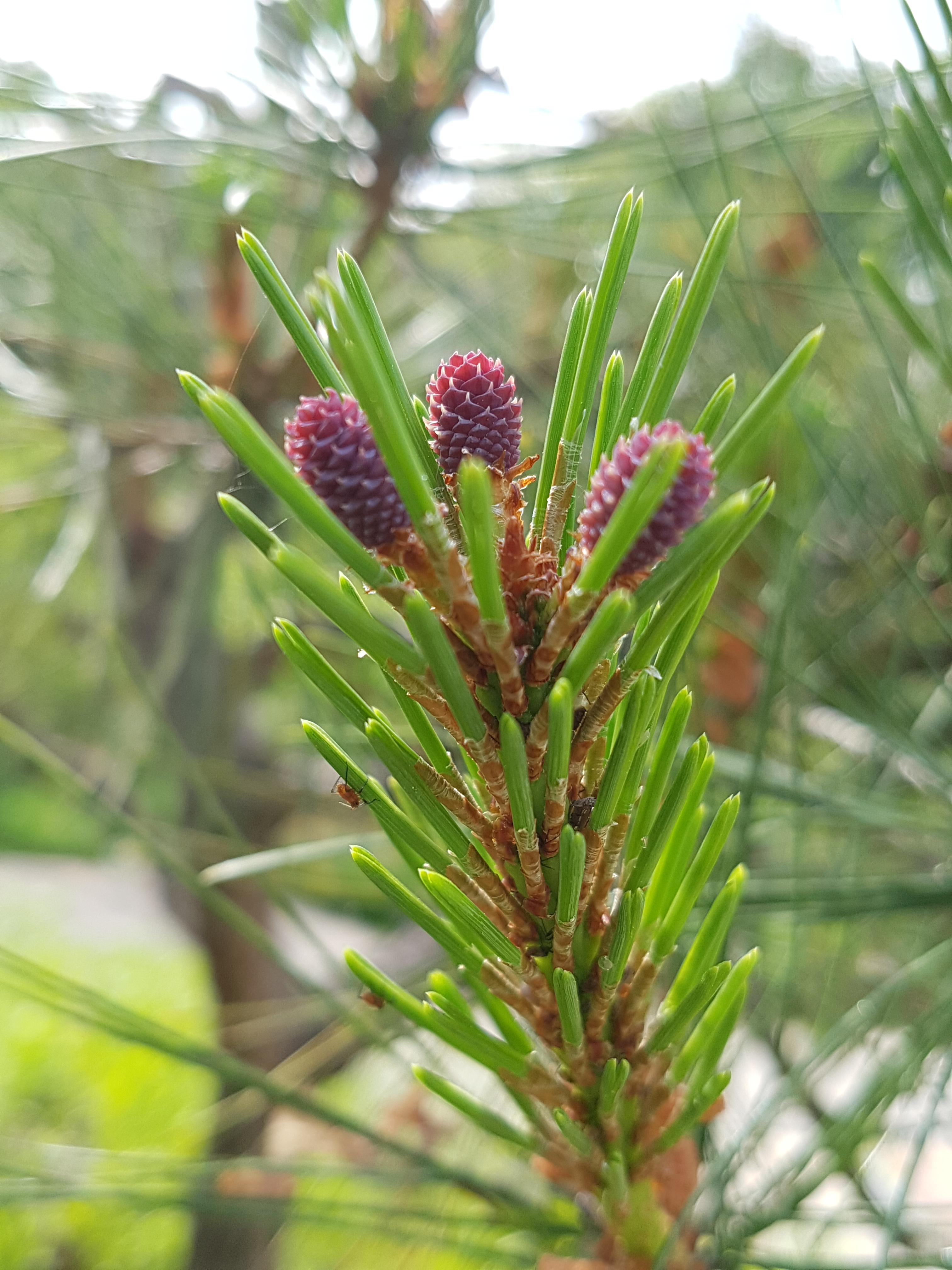 운정골드에이지 이미지 2