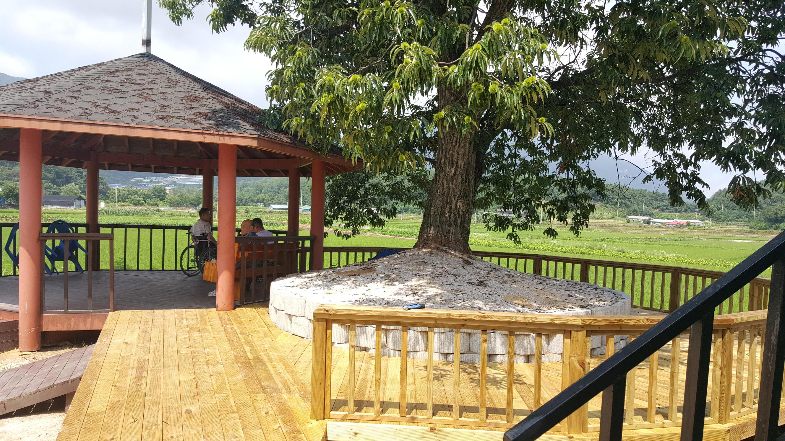 철원사랑요양원 이미지 4