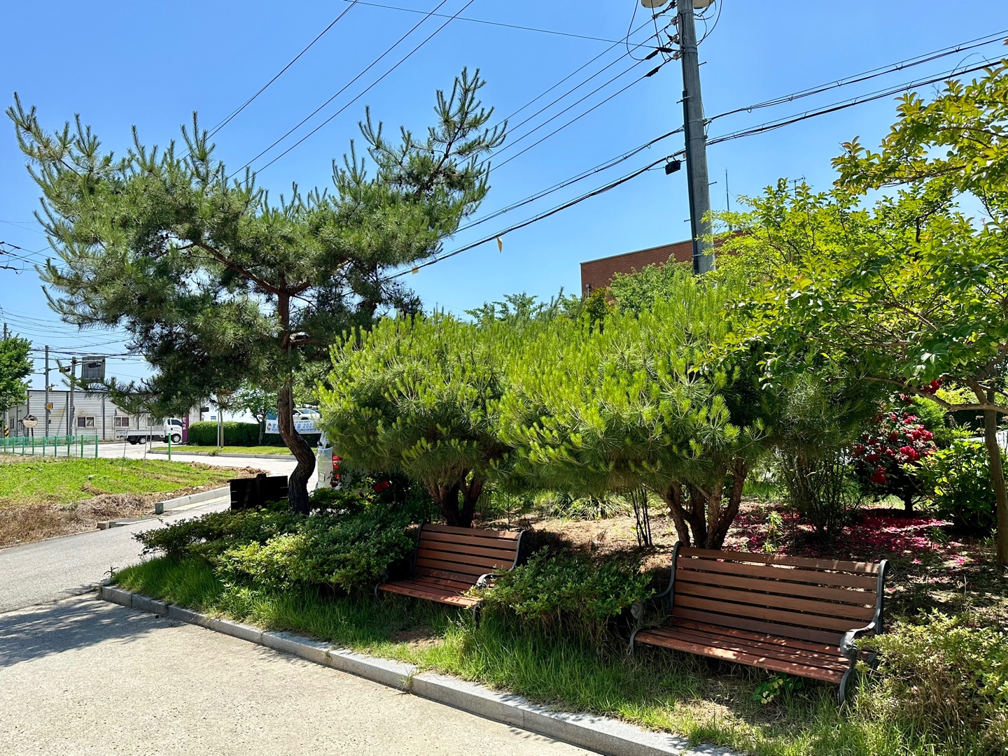 우주요양원 이미지 12