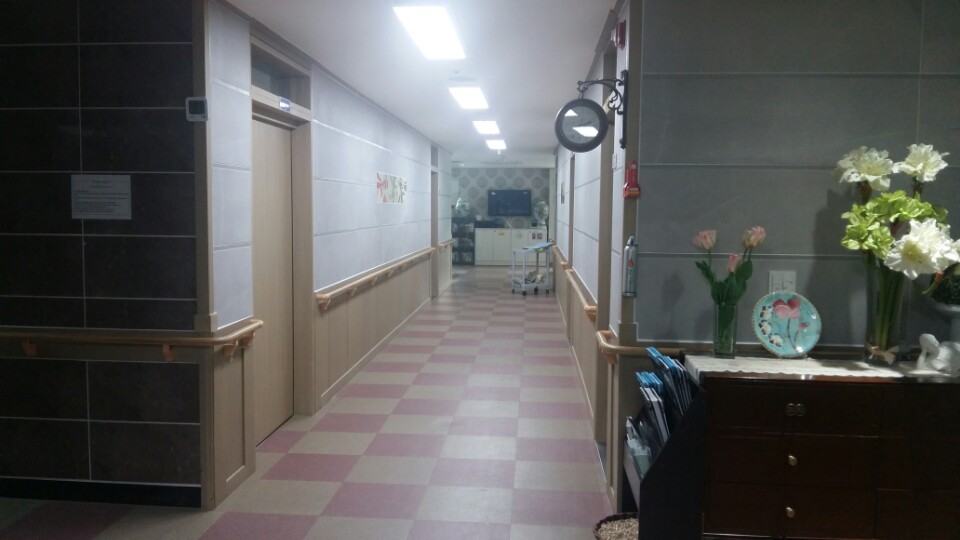 도리원 이미지 12