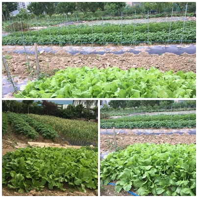 이레복지원 이미지 2