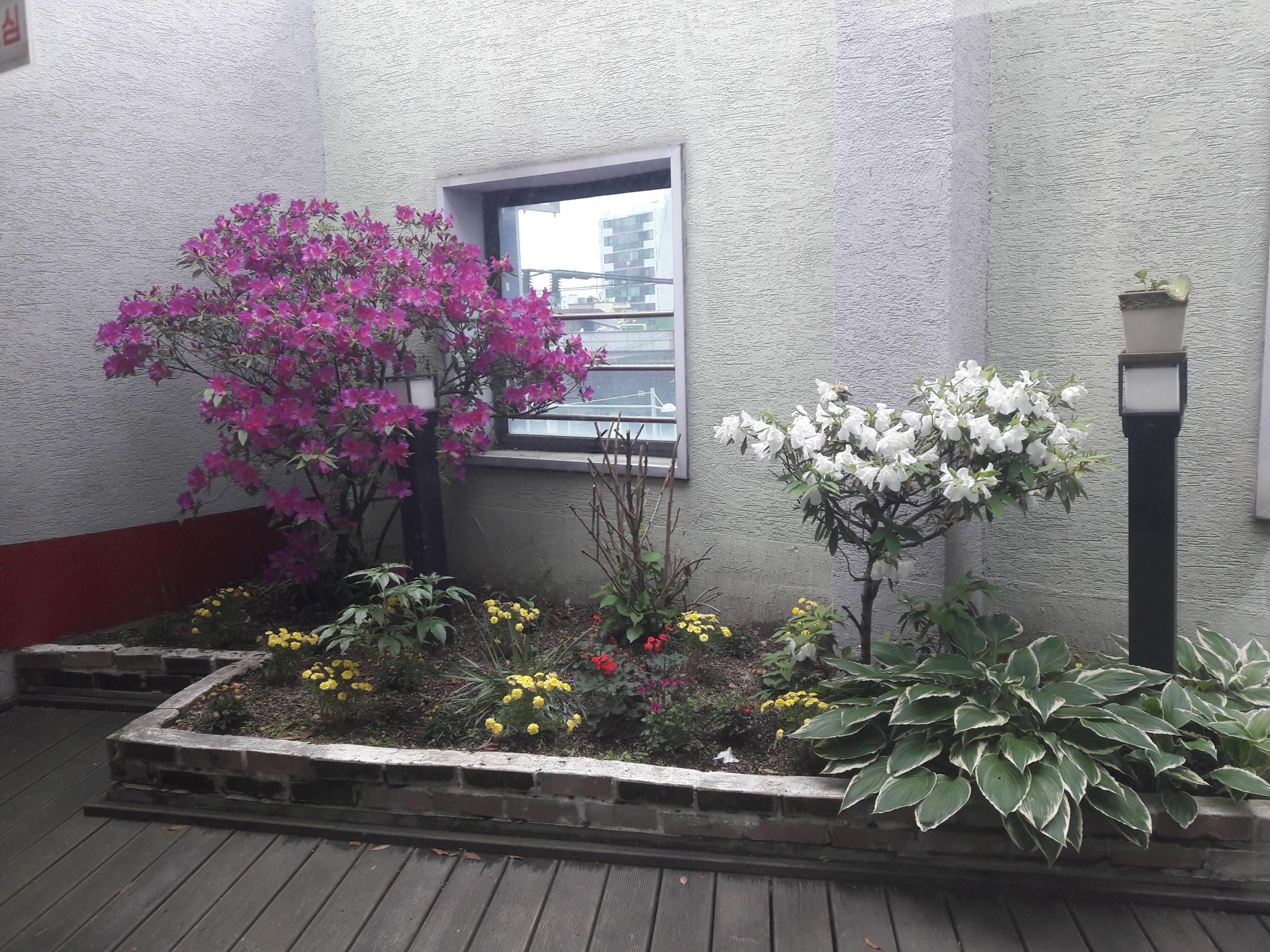 정다운요양원 이미지 6