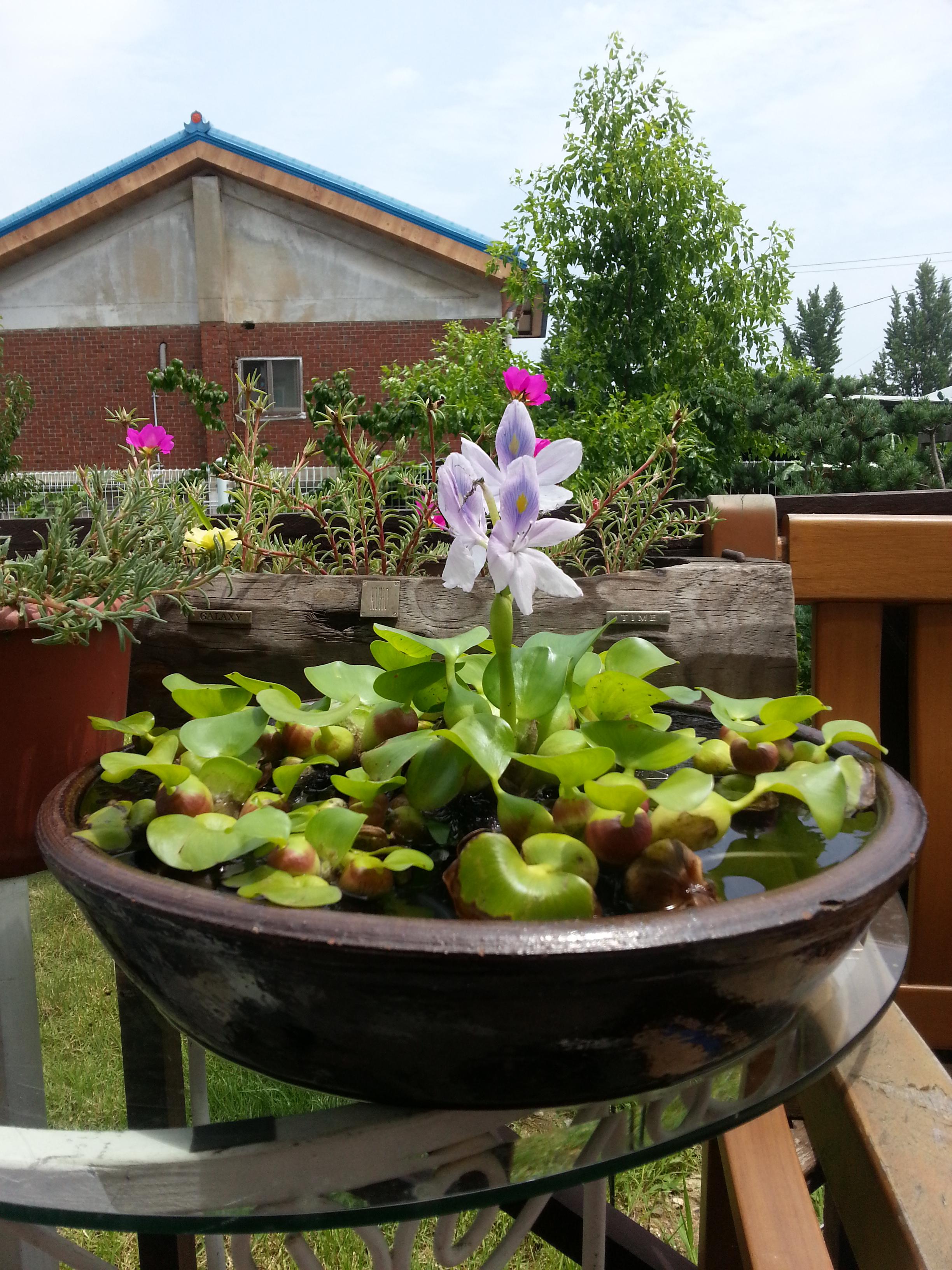 월롱패밀리 요양원 이미지 12