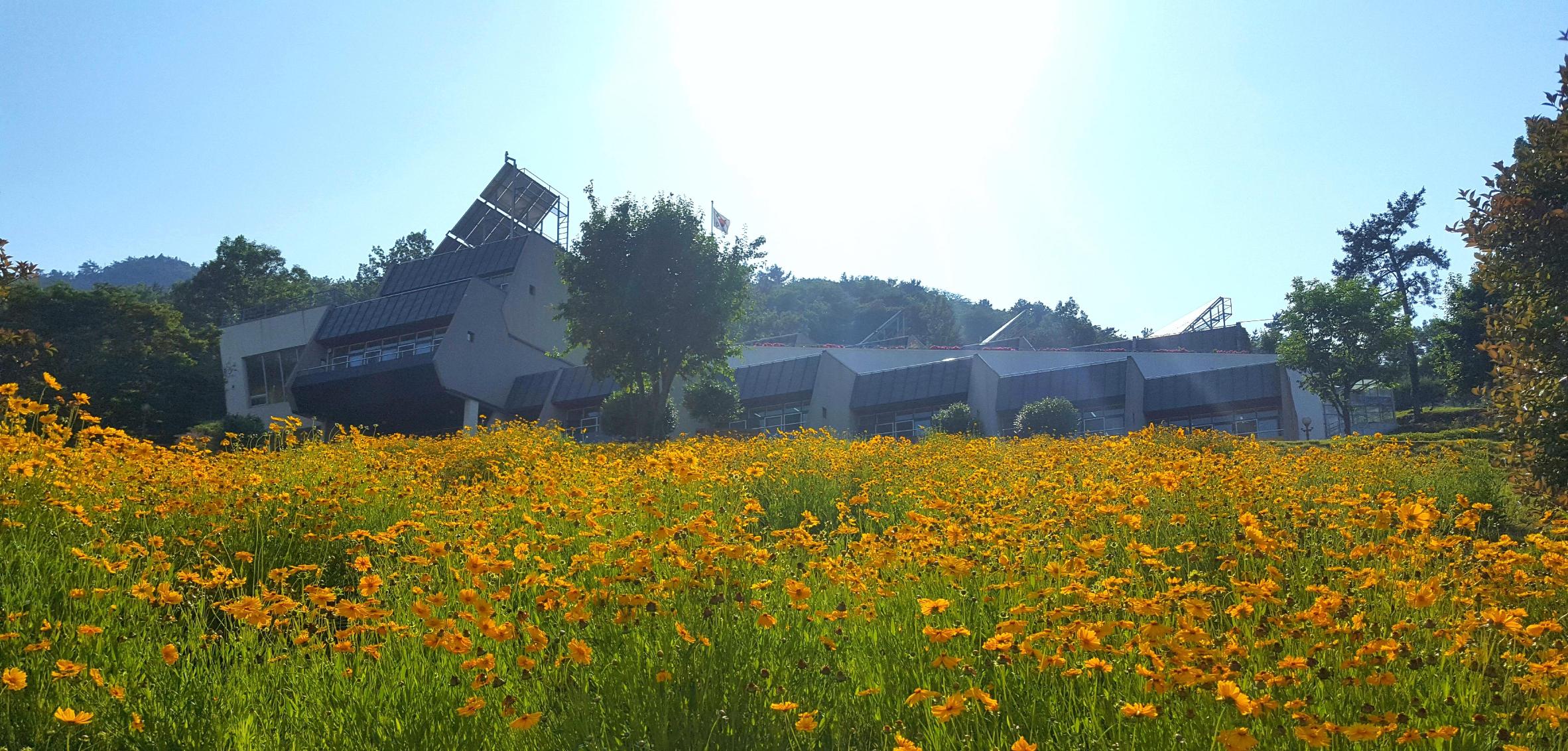 사회복지법인 자혜복지재단 노량실버타운 이미지 2