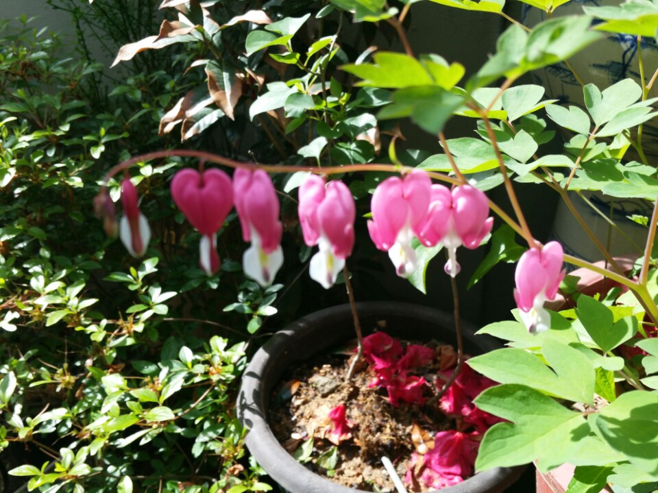 우리동산요양원 이미지 9