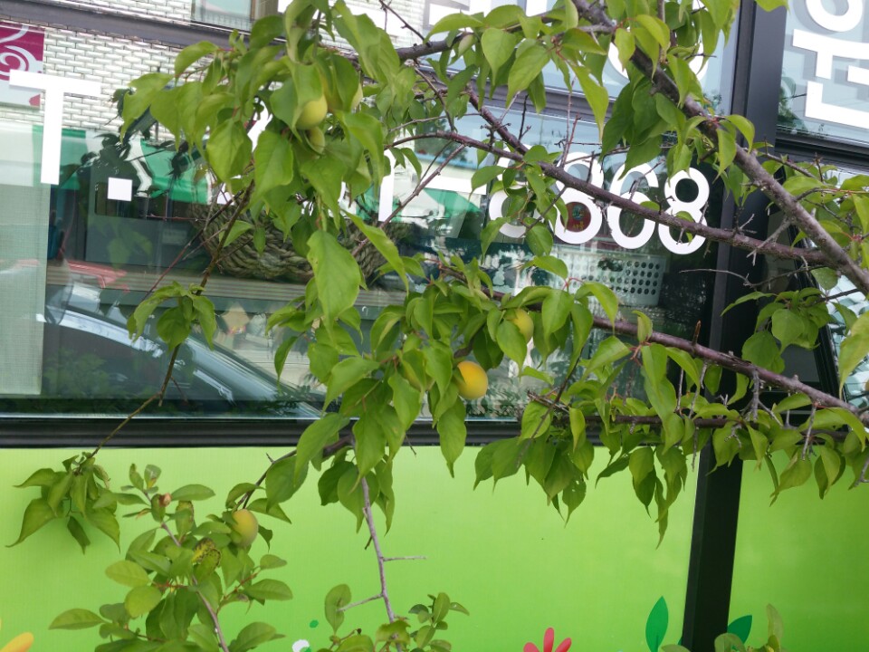 우리동산요양원 이미지 8