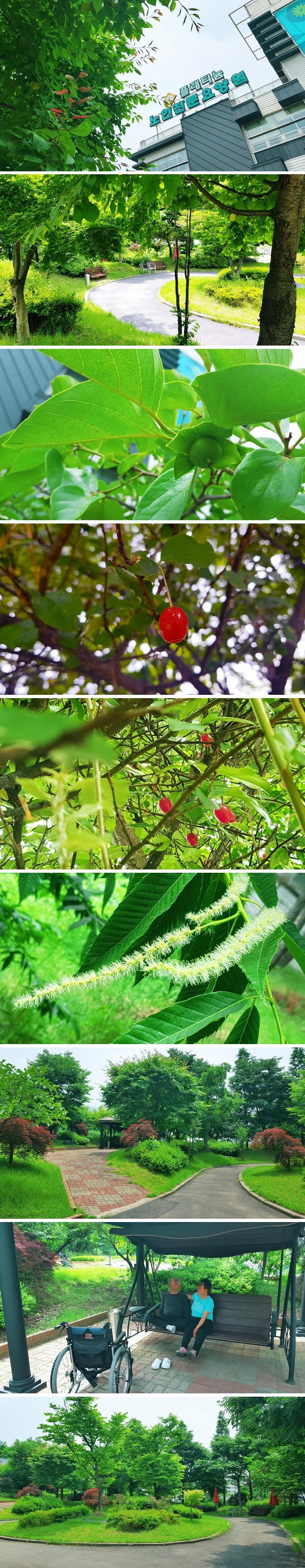 플래티늄 이미지 19