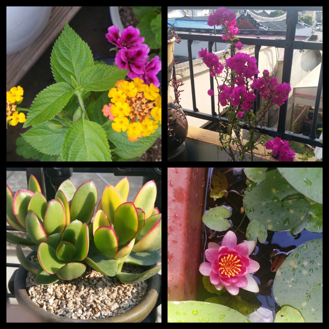 우리동산요양원 이미지 6