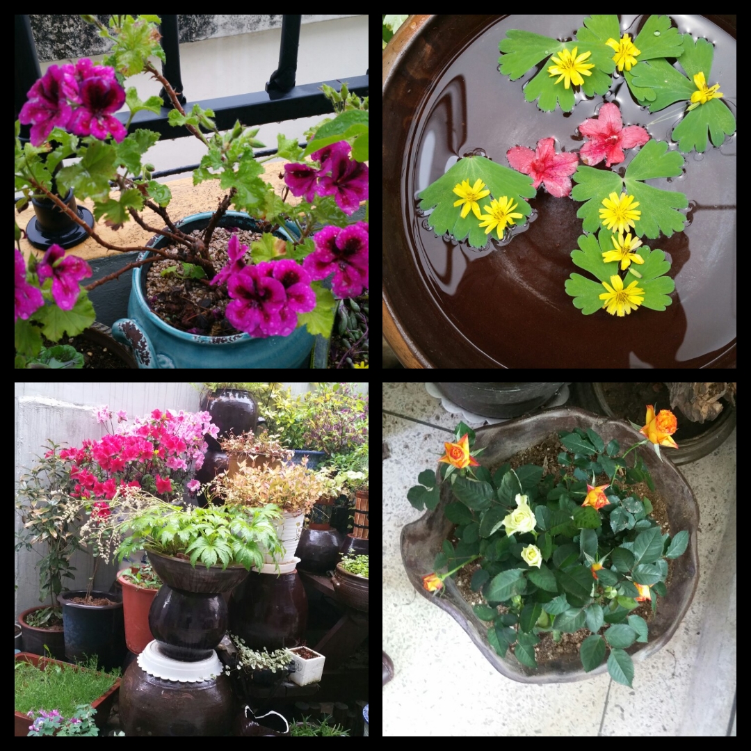 우리동산요양원 이미지 5