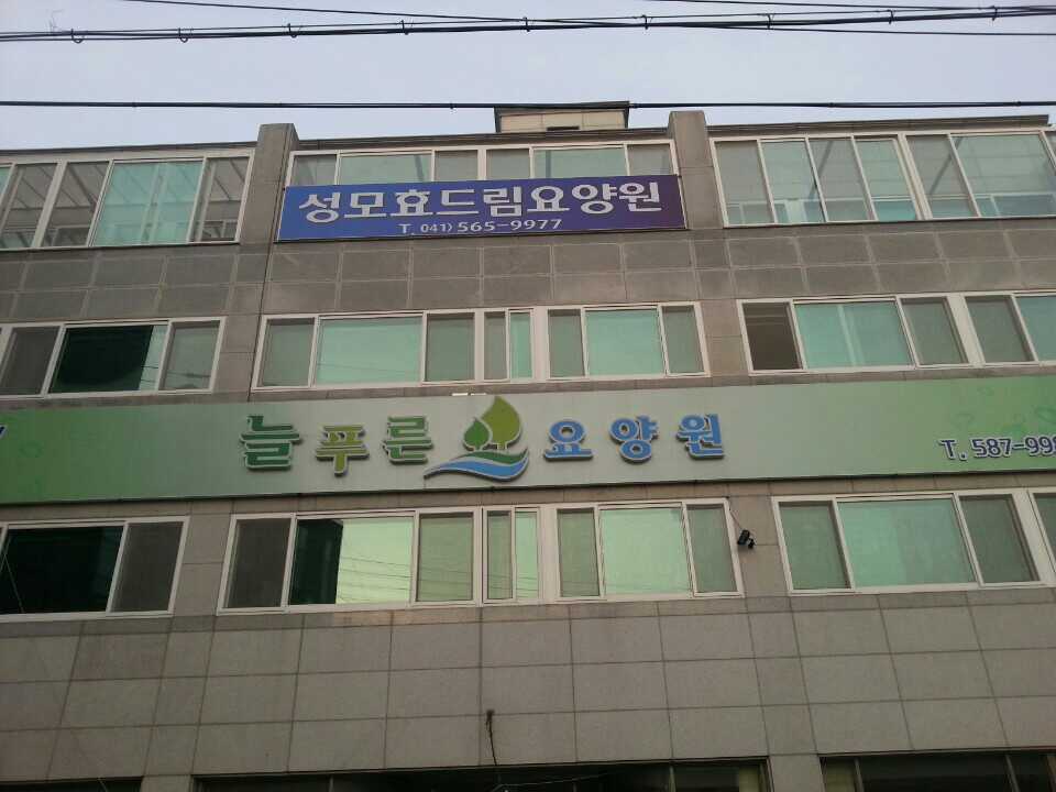 성모효드림요양원