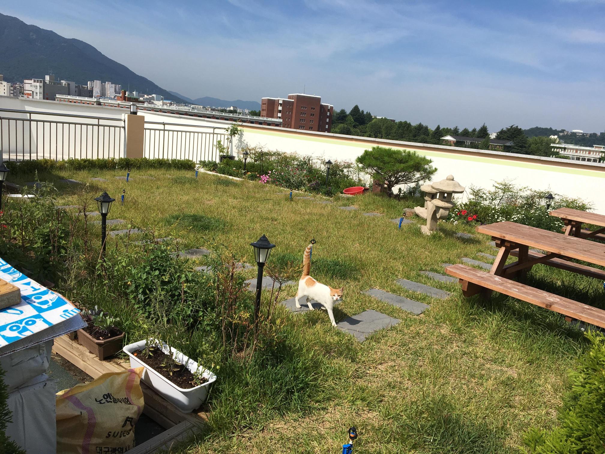 보람요양원 이미지 7