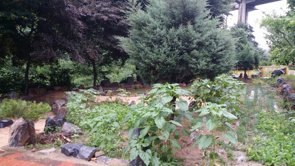 해바라기요양원 이미지 14