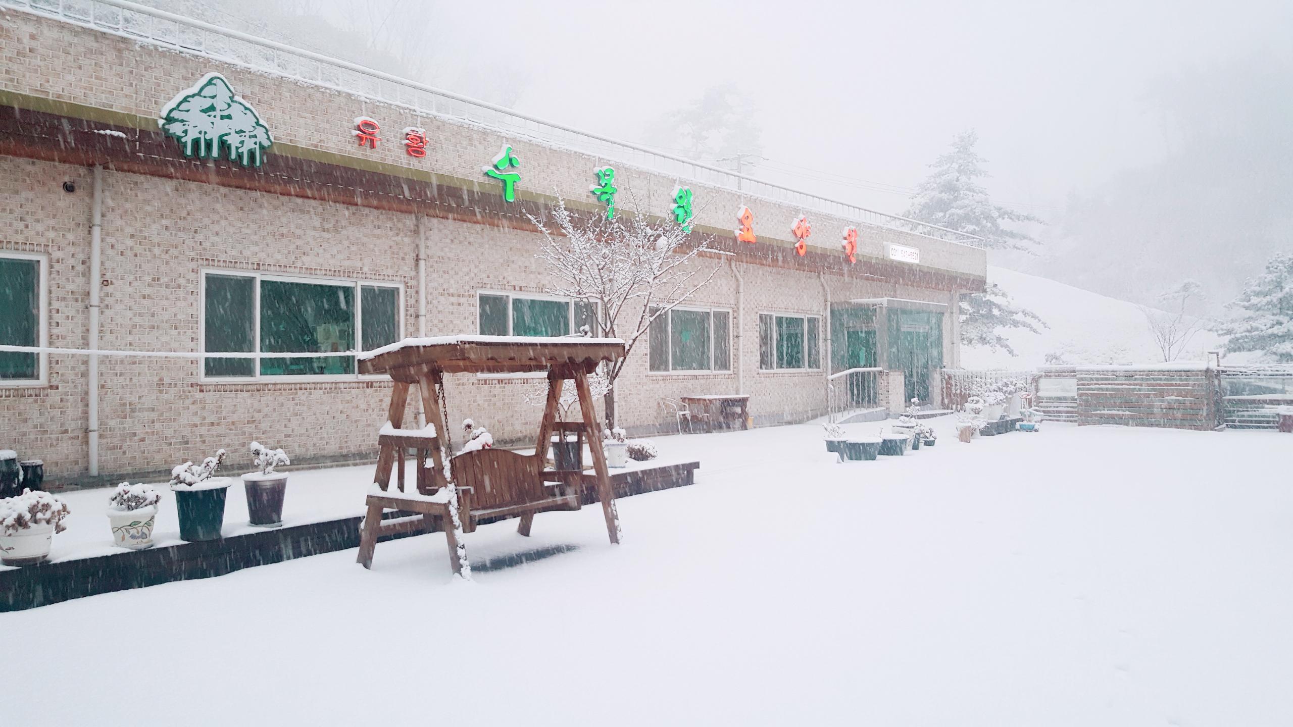 유황수목원요양원 이미지 3