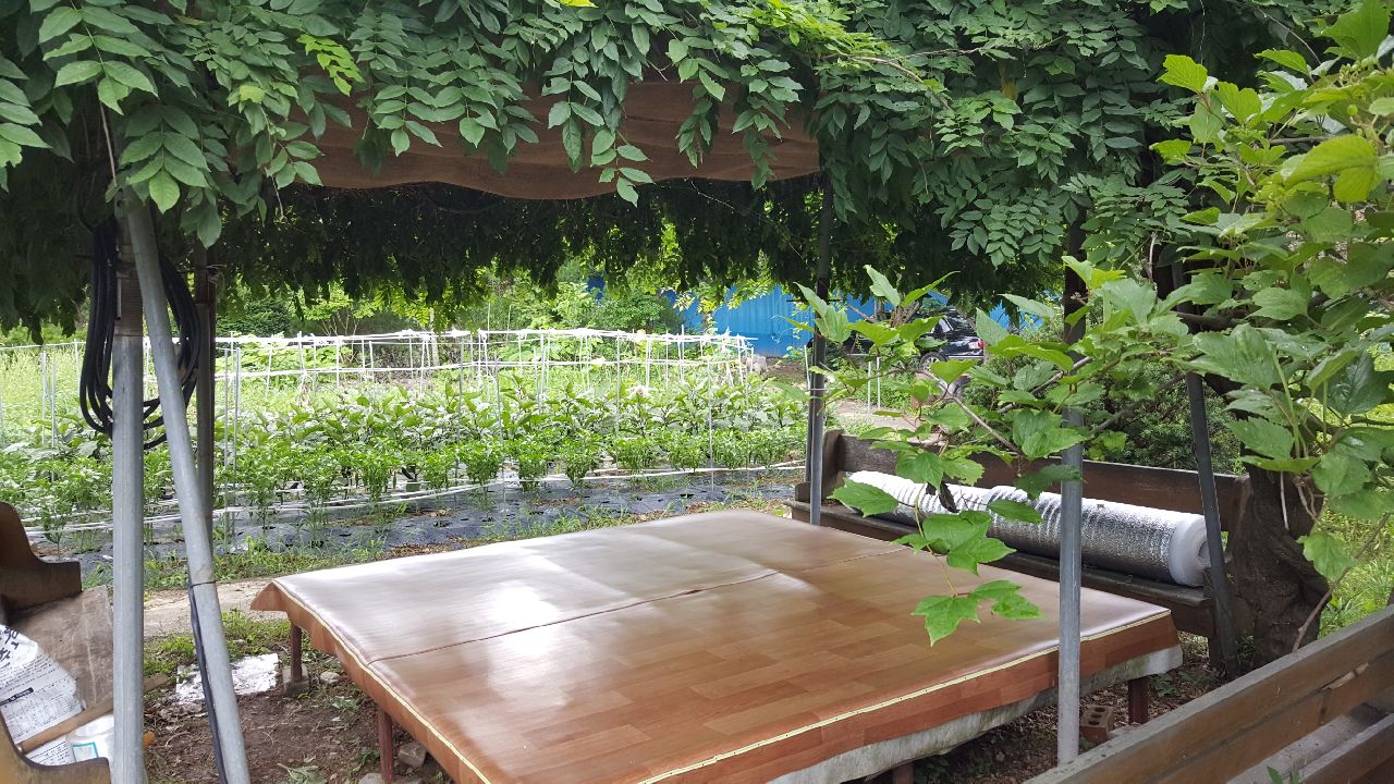 양촌수양관요양원 이미지 2