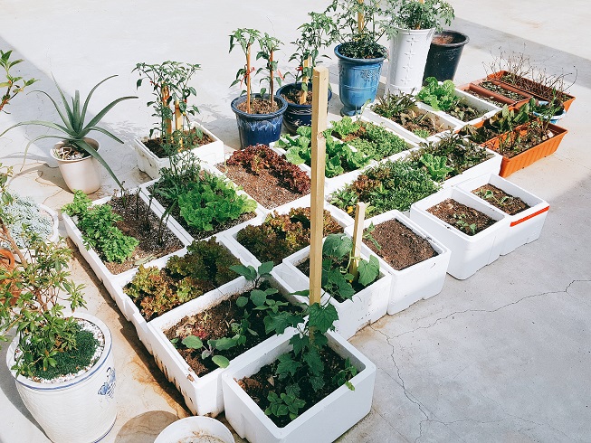 동백요양원 이미지 21