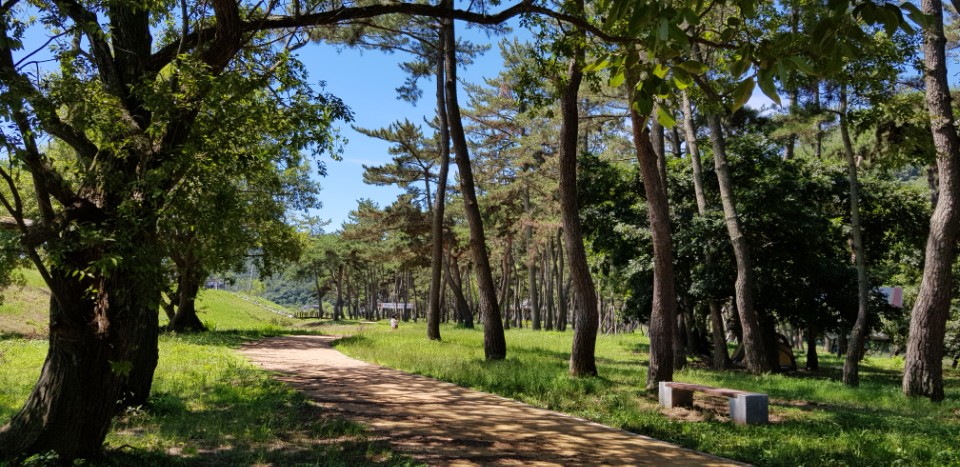 실버스토리 요양원 이미지 7