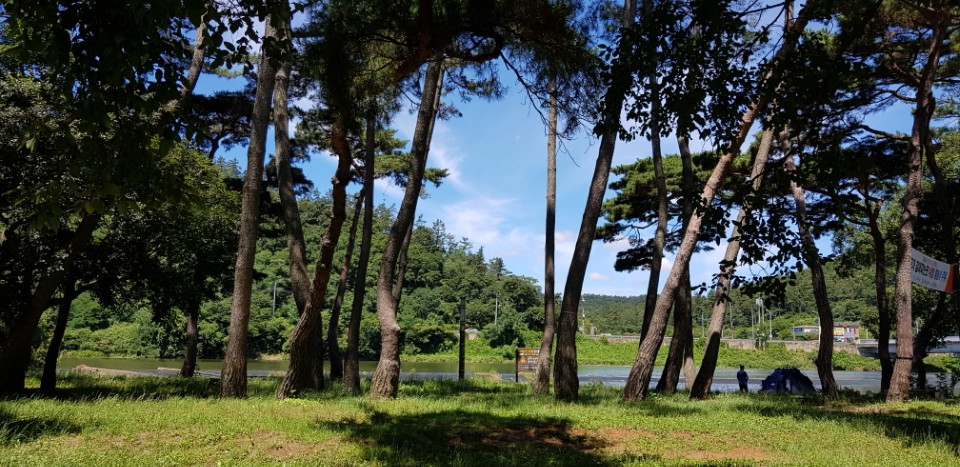 실버스토리 요양원 이미지 5