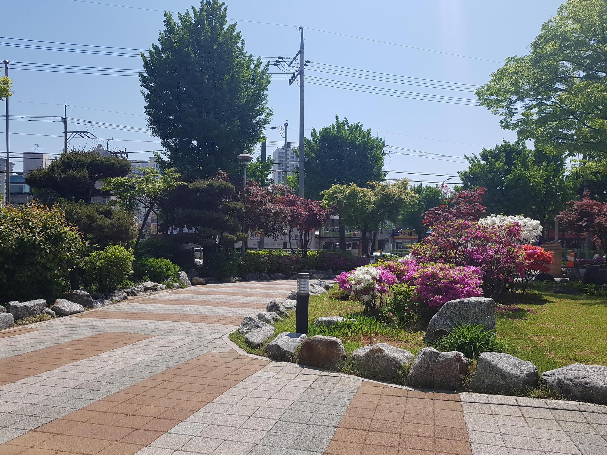 샤미나드의 집 이미지 2