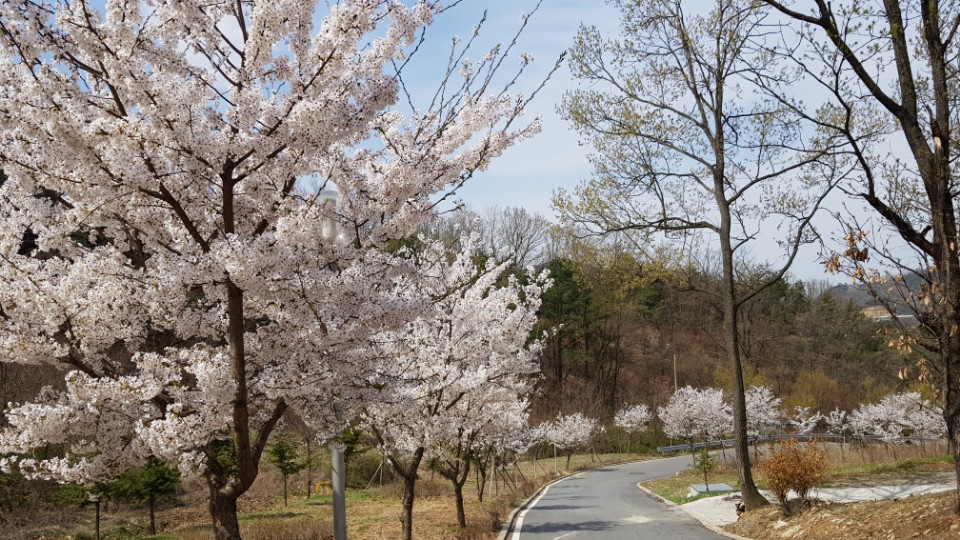 아산설화요양원 이미지 18