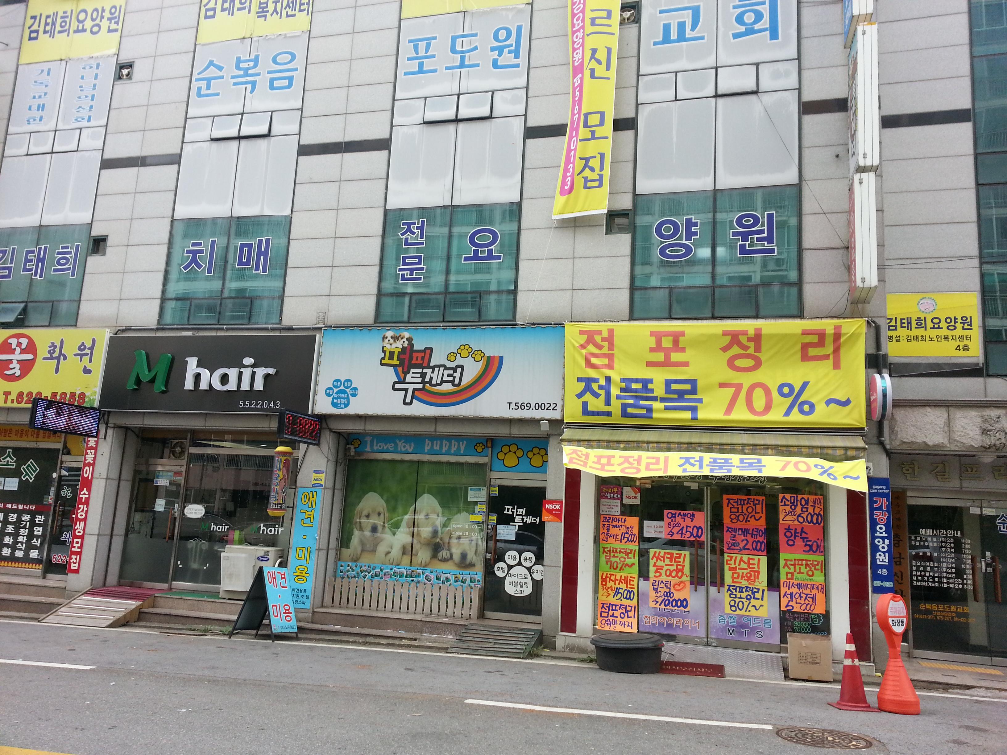 김태희치매전문요양원