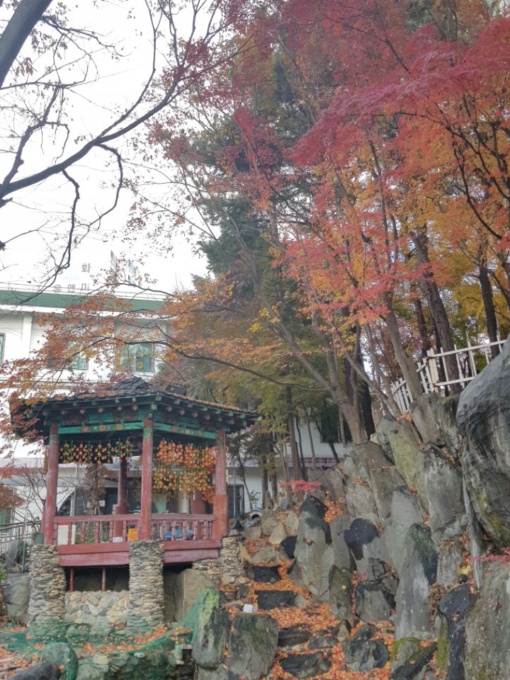 예사랑실버케어 이미지 3