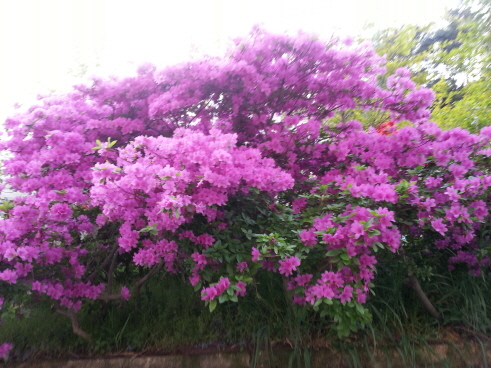 상사실버홈 이미지 4