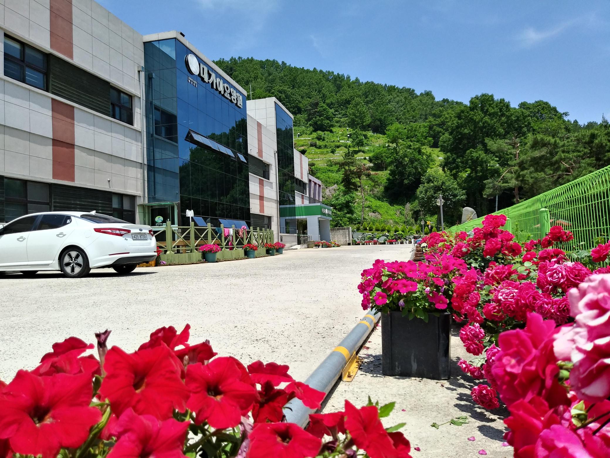 대가야요양원 이미지 8