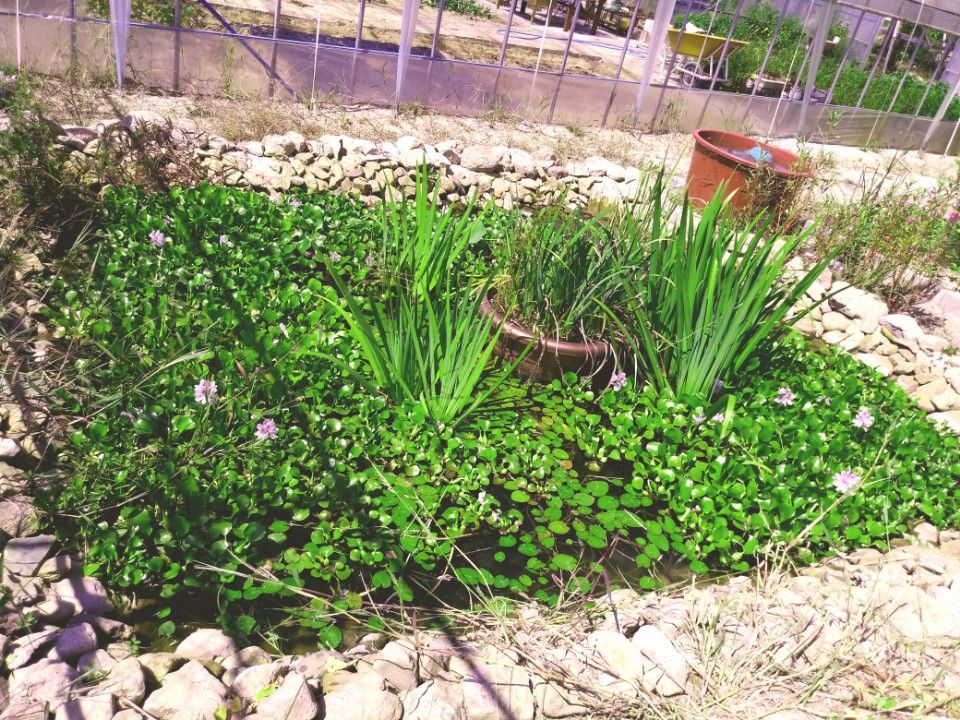 한결요양원 이미지 19