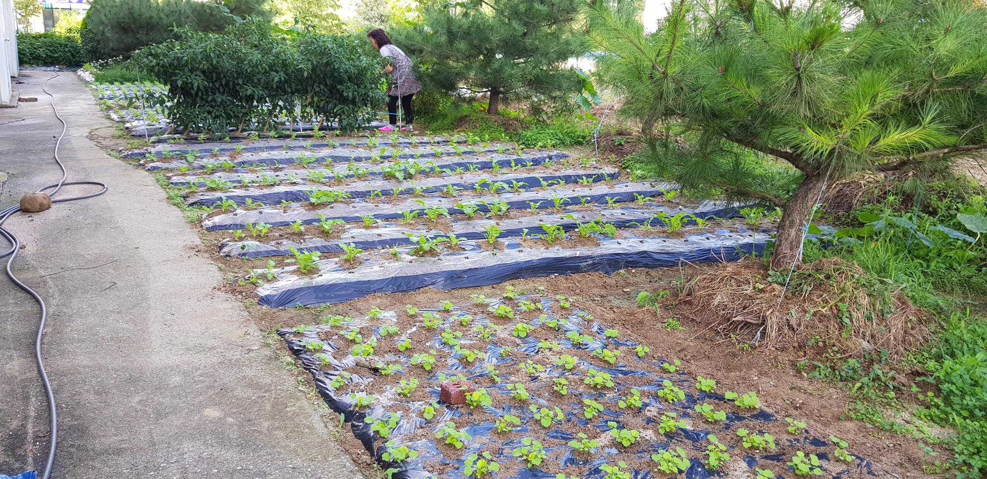 충주시니어빌리지 이미지 27