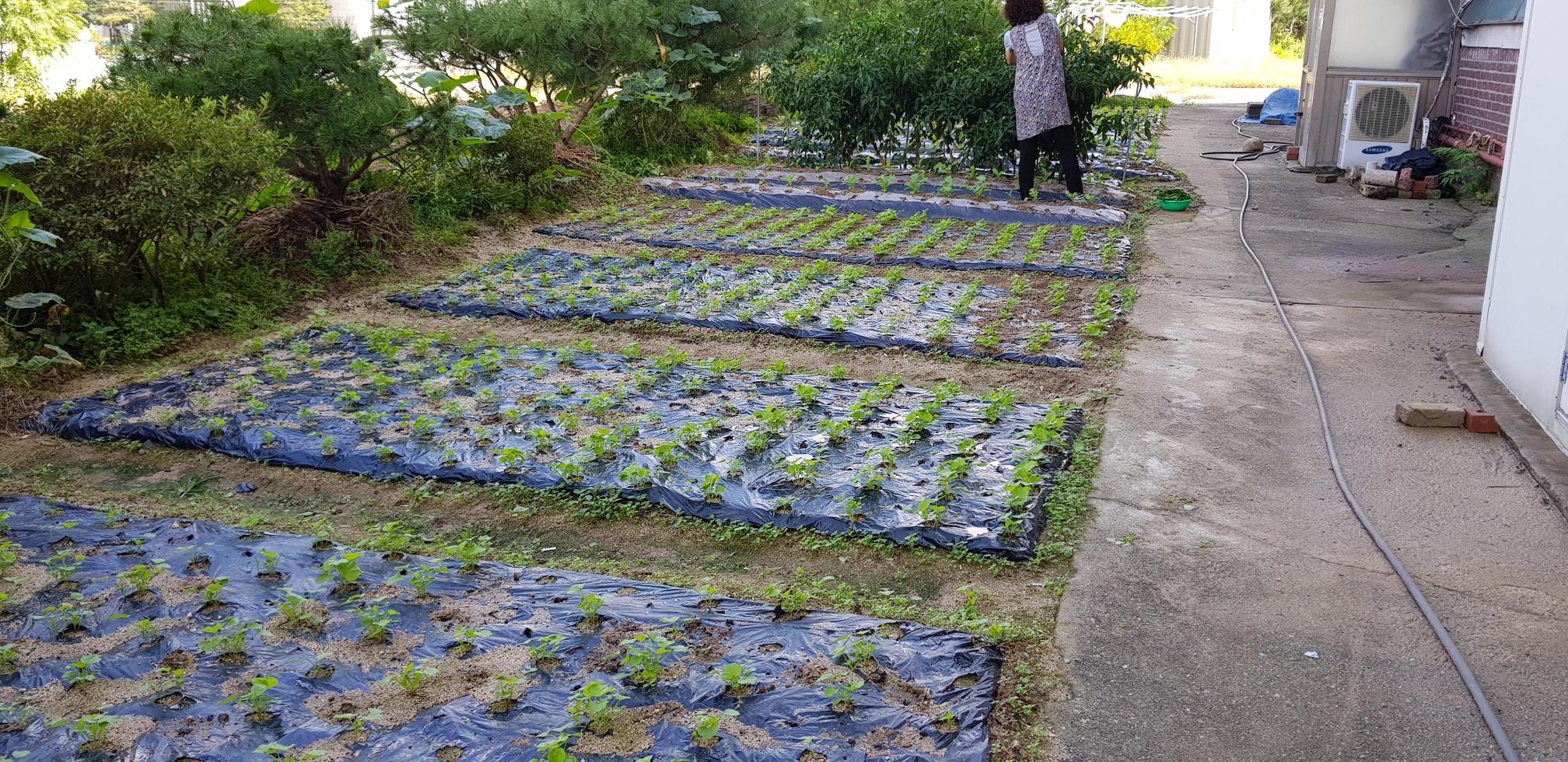 치매전담시니어빌리지 이미지 7