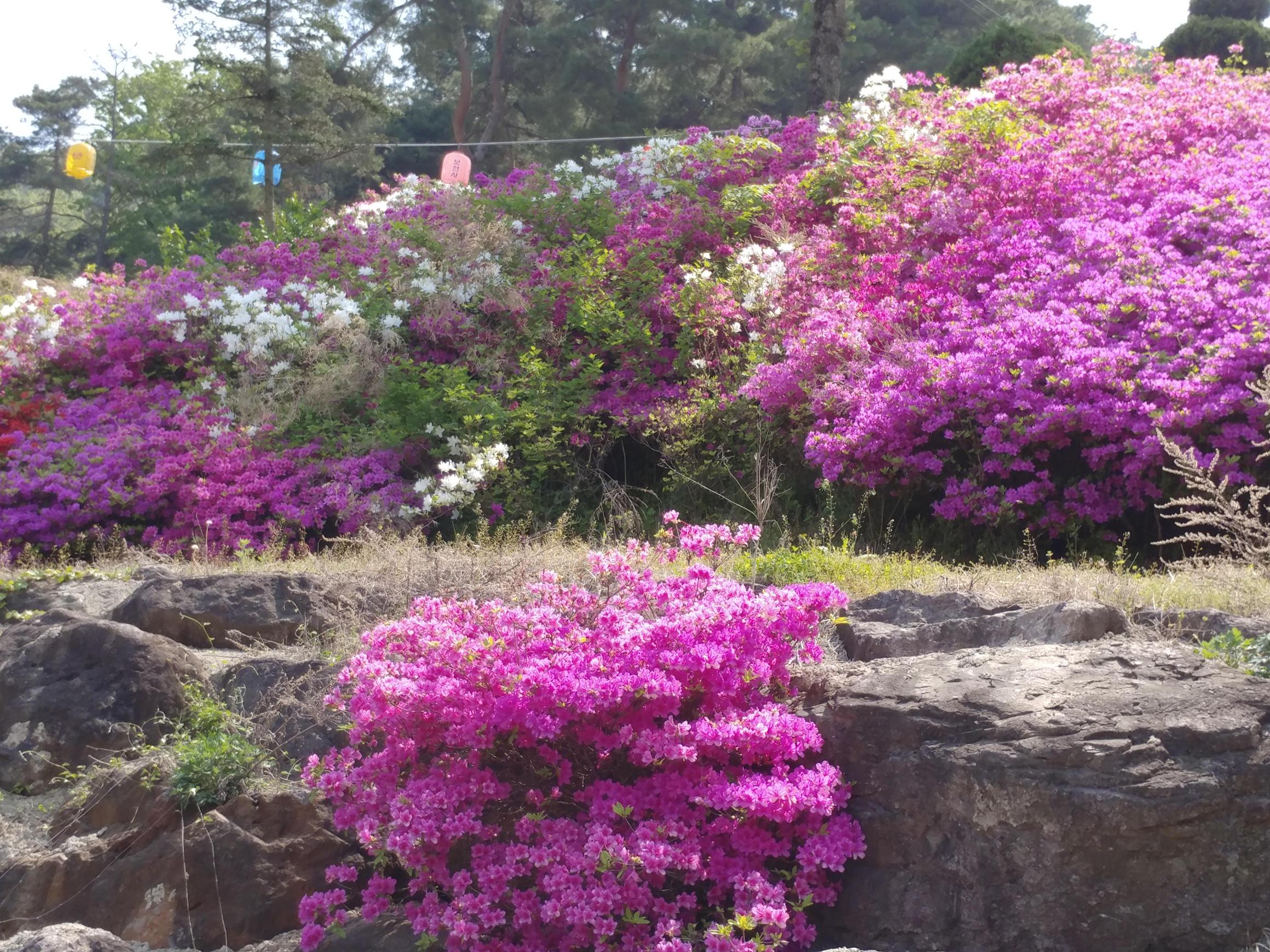 보현노인요양원 이미지 9