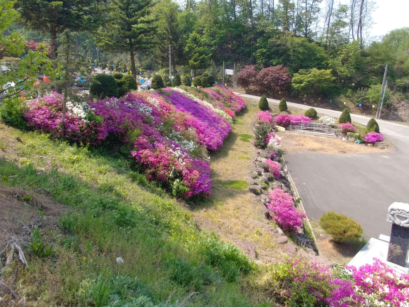 보현노인요양원 이미지 5