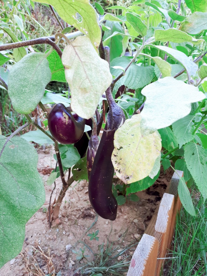 플로렌스 너싱홈 이미지 11