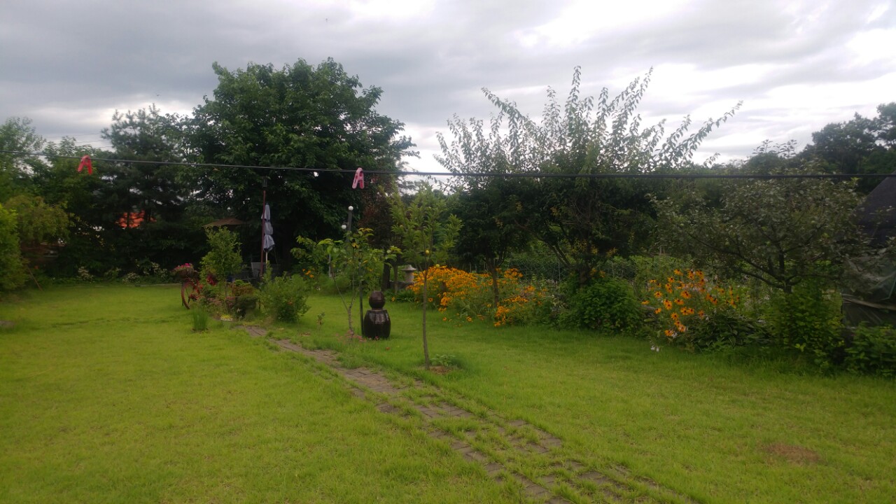 은혜채 요양원 이미지 12