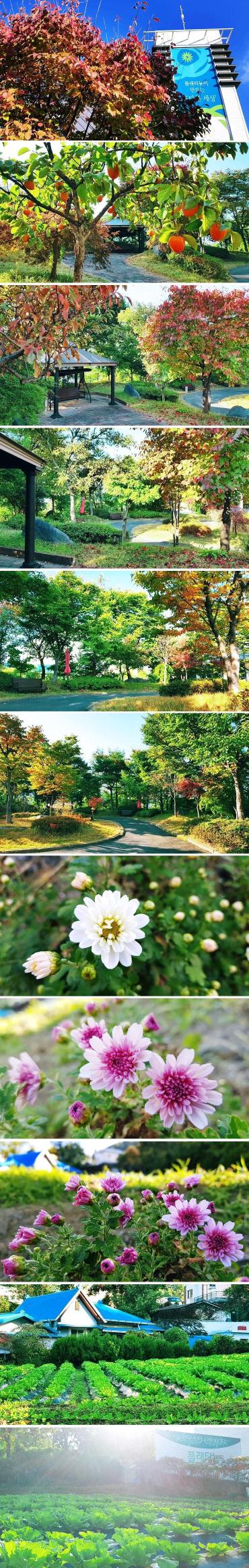 플래티늄 이미지 17