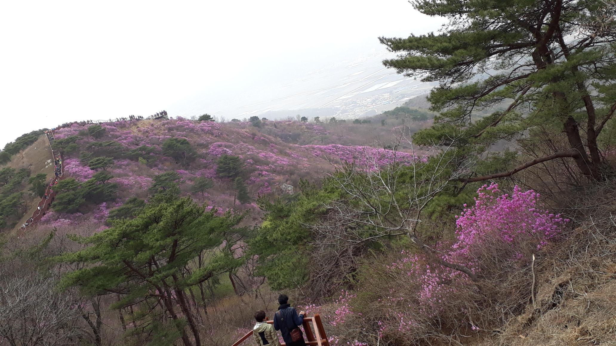 수림e좋은요양원 이미지 2