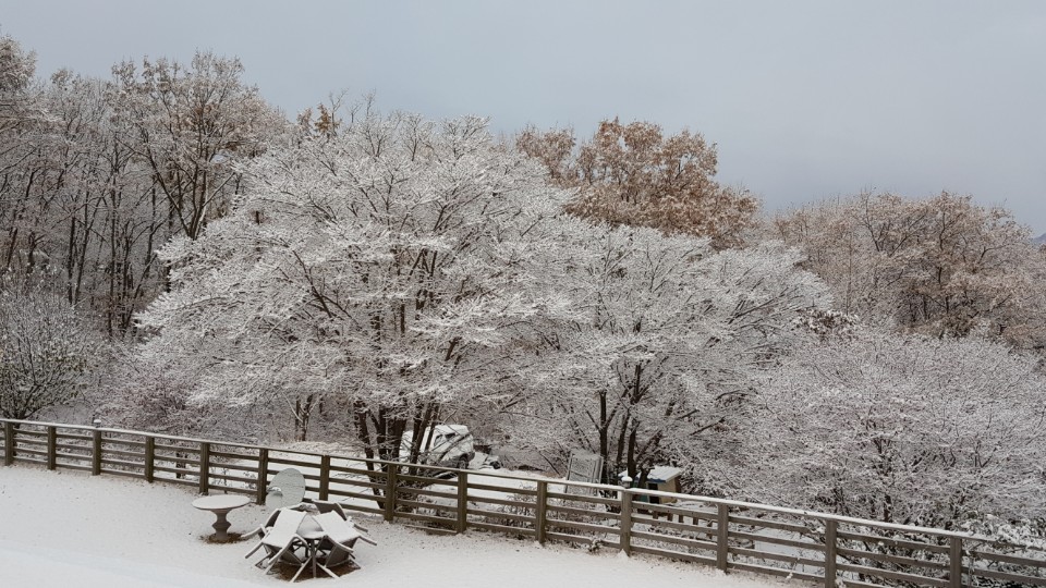 수림e좋은요양원