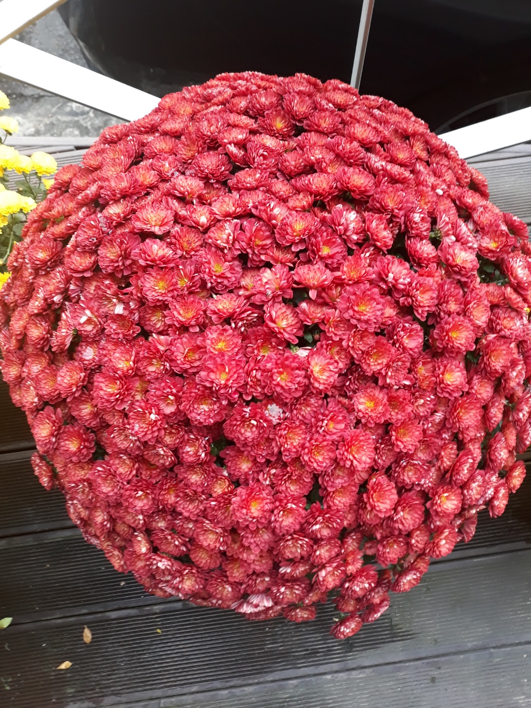 종려요양공동생활가정 이미지 8