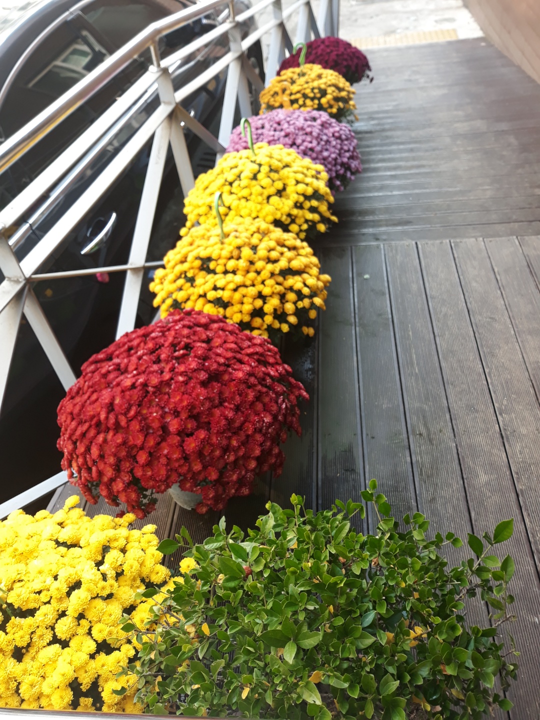 종려요양공동생활가정 이미지 7