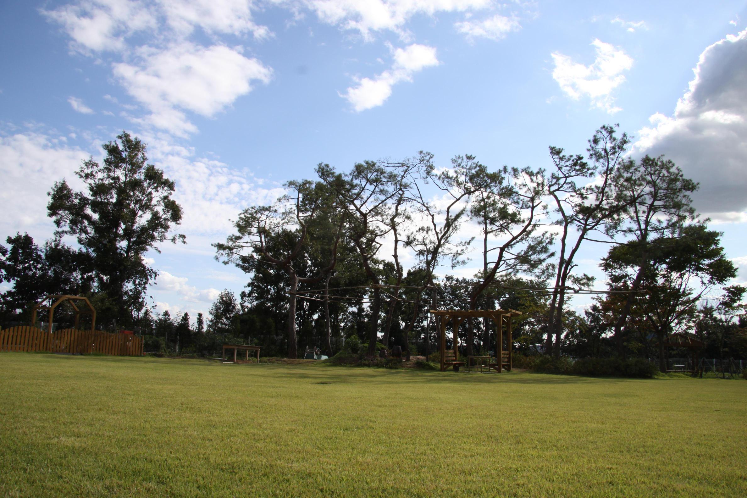 드림요양원 이미지 19