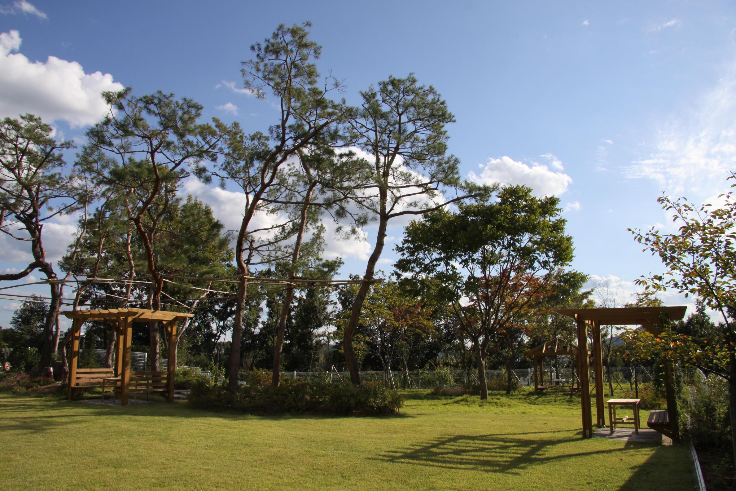 드림요양원 이미지 17