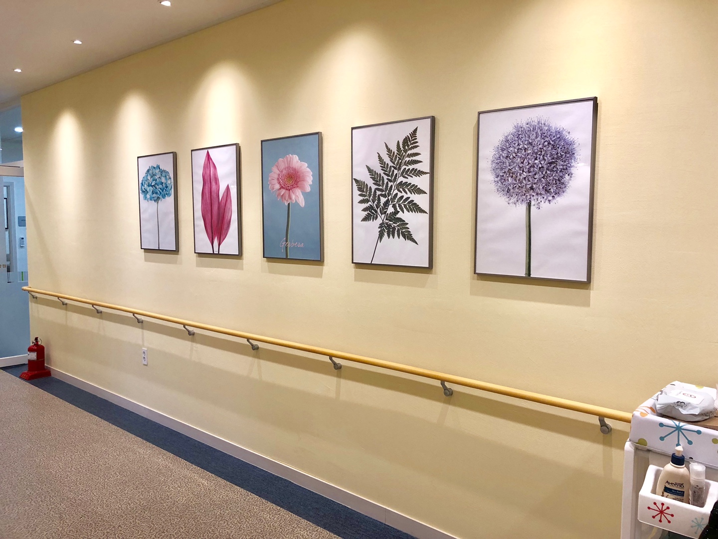 새롬요양원 이미지 5