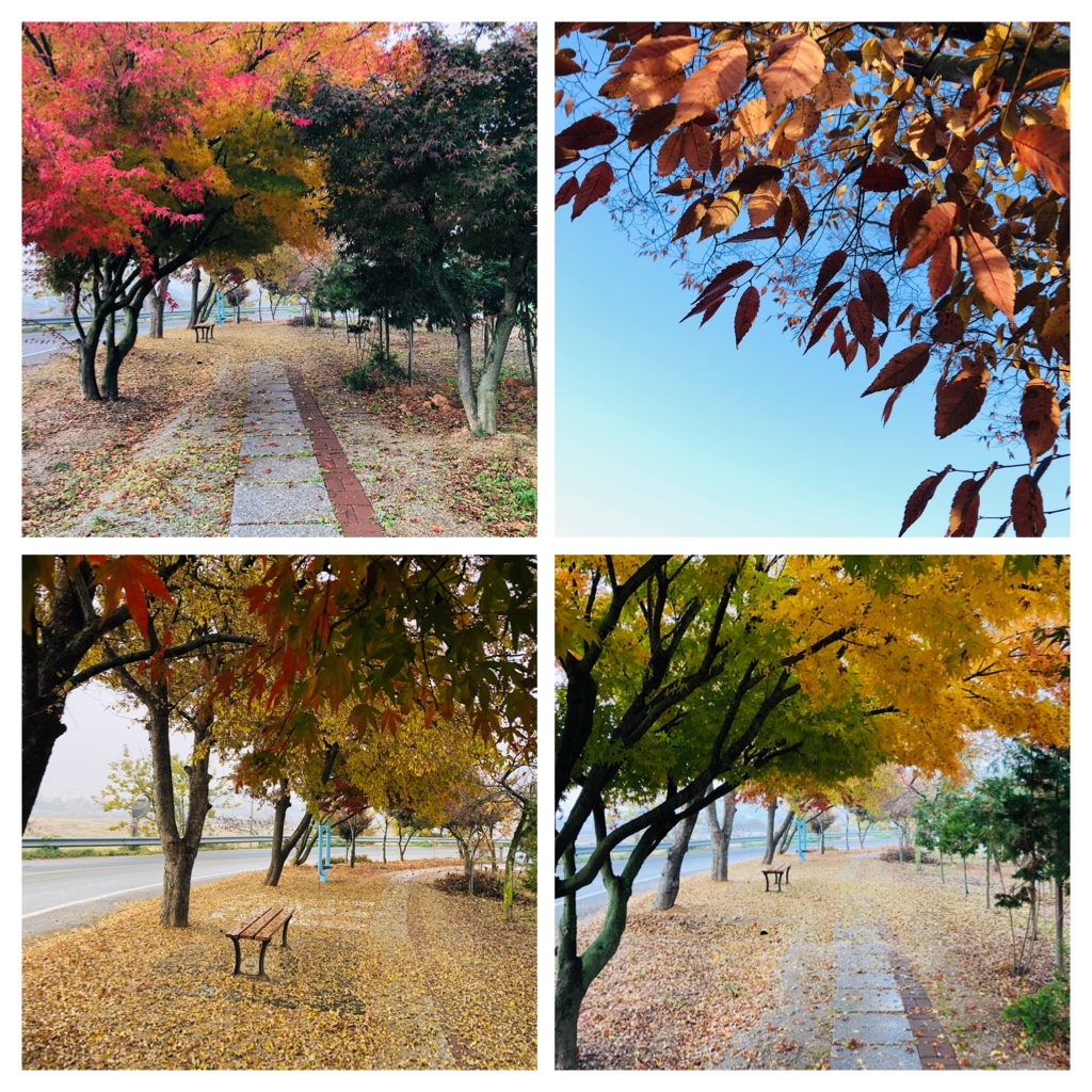 주을노인요양원 이미지 2