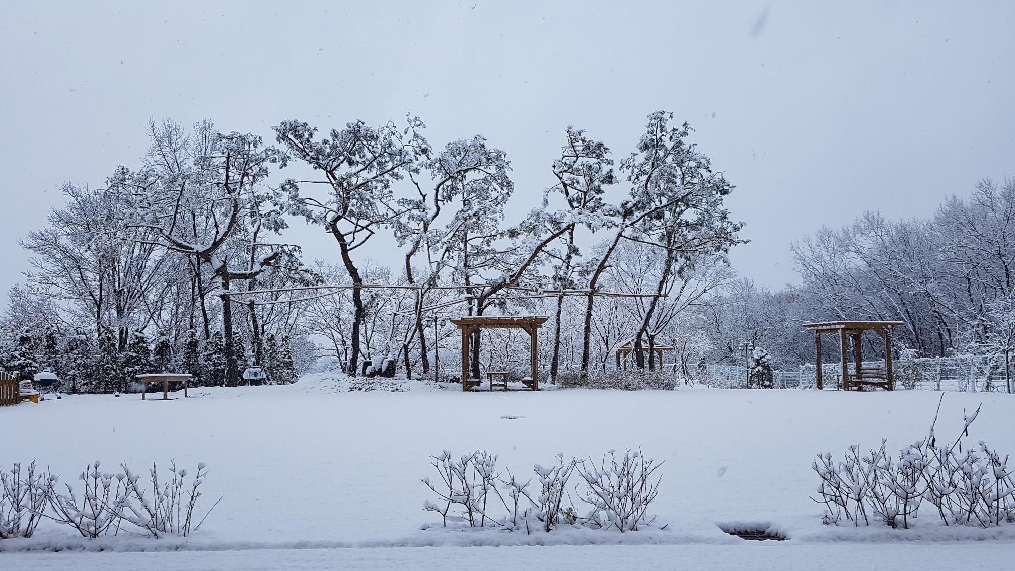 드림요양원 이미지 13